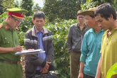 Bắt đối tượng chặt phá sầu riêng của người dân Bắt đối tượng chặt phá sầu riêng của người dân