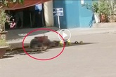 Hà Nội: Người đàn ông tử vong sau khi rơi từ tầng cao chung cư lúc giữa trưa Hà Nội: Người đàn ông tử vong sau khi rơi từ tầng cao chung cư lúc giữa trưa