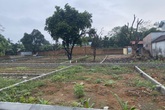Người Hà Nội đổ xô “săn” đất, dân buôn “ngồi mát ăn bát vàng” Người Hà Nội đổ xô “săn” đất, dân buôn “ngồi mát ăn bát vàng”
