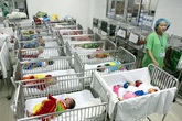 Tọa đàm trực tuyến: Những yếu tố ảnh hưởng đến mức sinh và giải pháp Tọa đàm trực tuyến: Những yếu tố ảnh hưởng đến mức sinh và giải pháp