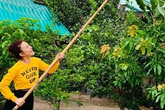 Nhìn cách Vy Oanh tạo dáng bên khu vườn trong biệt thự khiến nhiều người thích mê Nhìn cách Vy Oanh tạo dáng bên khu vườn trong biệt thự khiến nhiều người thích mê