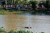Phát hiện thi thể người đàn ông thường xuyên đi lang thang dưới kênh nước Phát hiện thi thể người đàn ông thường xuyên đi lang thang dưới kênh nước