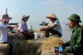 Đối diện thách thức, Hải Phòng quyết giữ mức sinh thay thế bằng cuộc vận động "sinh đủ hai con" Đối diện thách thức, Hải Phòng quyết giữ mức sinh thay thế bằng cuộc vận động "sinh đủ hai con"