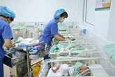 Tọa đàm trực tuyến: Thực trạng mức sinh ở Việt Nam và giải pháp Tọa đàm trực tuyến: Thực trạng mức sinh ở Việt Nam và giải pháp