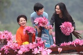Trà My, Thanh Thanh Hiền và Thảo Vân khoe sắc bên hoa súng ở Tam Cốc Trà My, Thanh Thanh Hiền và Thảo Vân khoe sắc bên hoa súng ở Tam Cốc