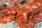 Bán đàn trâu 500 con, thu ngay 300 triệu đồng ăn Tết Bán đàn trâu 500 con, thu ngay 300 triệu đồng ăn Tết