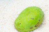 Cho quả xoài vào trong thùng gạo, mẹo hay từ xưa mà chưa chắc chị em thời nay đã biết Cho quả xoài vào trong thùng gạo, mẹo hay từ xưa mà chưa chắc chị em thời nay đã biết