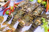 Hải sản trong nước giảm giá mạnh, có những loại chỉ thường xuất hiện ở nhà hàng giờ bán đầy chợ Hải sản trong nước giảm giá mạnh, có những loại chỉ thường xuất hiện ở nhà hàng giờ bán đầy chợ