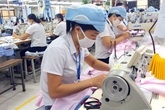Tích cực ngăn chặn tình trạng trục lợi hưởng BHXH Tích cực ngăn chặn tình trạng trục lợi hưởng BHXH