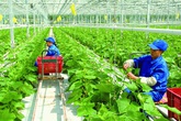 “Đầu tư công và tư nhân là cứu cánh của Hà Nội trong mùa dịch COVID-19” “Đầu tư công và tư nhân là cứu cánh của Hà Nội trong mùa dịch COVID-19”
