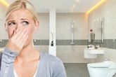 Nhà vệ sinh một tuần vẫn thơm tho nhờ mẹo nhỏ ít người biết Nhà vệ sinh một tuần vẫn thơm tho nhờ mẹo nhỏ ít người biết