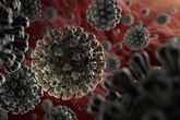 Mỹ phát hiện cách virus SARS-CoV-2 trốn hệ miễn dịch, WHO dự báo đỉnh dịch tại Malaysia Mỹ phát hiện cách virus SARS-CoV-2 trốn hệ miễn dịch, WHO dự báo đỉnh dịch tại Malaysia