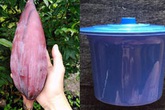 Cô gái khóc thét đòi chia tay vì thường xuyên nhận những món quà khó đỡ từ bạn trai, dân mạng xem xong liền phán: "Quyết định đúng, chẳng oan!" Cô gái khóc thét đòi chia tay vì thường xuyên nhận những món quà khó đỡ từ bạn trai, dân mạng xem xong liền phán: "Quyết định đúng, chẳng oan!"