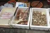 "Mách lẻo" đoạn phố bán các loại hải sản Quảng Ninh vẫn còn nhảy "tanh tách" trong bể "Mách lẻo" đoạn phố bán các loại hải sản Quảng Ninh vẫn còn nhảy "tanh tách" trong bể
