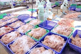 Hải sản giảm giá tới 50%, Hà Nội mong dân ‘giải cứu’ cá hồi, hàu Hải sản giảm giá tới 50%, Hà Nội mong dân ‘giải cứu’ cá hồi, hàu