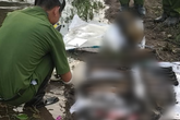 Từ phần thi thể trồi lên mặt đất, phát hiện 4 bộ xương người ven bờ sông Sài Gòn Từ phần thi thể trồi lên mặt đất, phát hiện 4 bộ xương người ven bờ sông Sài Gòn