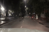 Đường phố vắng vẻ, nhóm thanh niên không đội mũ bảo hiểm, không đeo khẩu trang rủ nhau lên Hồ Hoàn Kiếm đua xe Đường phố vắng vẻ, nhóm thanh niên không đội mũ bảo hiểm, không đeo khẩu trang rủ nhau lên Hồ Hoàn Kiếm đua xe