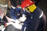 31 lính cứu hỏa bị axit văng vào người, mắt trong vụ cháy khu chế xuất 31 lính cứu hỏa bị axit văng vào người, mắt trong vụ cháy khu chế xuất