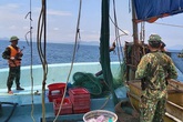 Nổ súng truy bắt tàu giã cào đánh bắt trái phép trên biển Hà Tĩnh Nổ súng truy bắt tàu giã cào đánh bắt trái phép trên biển Hà Tĩnh