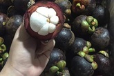 Mẹo phân biệt măng cụt Việt Nam và măng cụt Thái Lan đang tràn ngập chợ Mẹo phân biệt măng cụt Việt Nam và măng cụt Thái Lan đang tràn ngập chợ