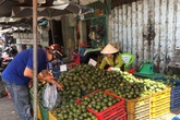 Hoa quả mùa hè đang rẻ giật mình vì lý do này Hoa quả mùa hè đang rẻ giật mình vì lý do này