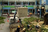 Hàng loạt cây phượng bị chặt hạ: Sao nỡ cạn tình với loài cây biểu tượng của tuổi học trò? Hàng loạt cây phượng bị chặt hạ: Sao nỡ cạn tình với loài cây biểu tượng của tuổi học trò?