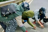 Hành động đẹp của nhóm học sinh nhặt đinh rơi vãi trên đường giữa nắng 40 độ C Hành động đẹp của nhóm học sinh nhặt đinh rơi vãi trên đường giữa nắng 40 độ C