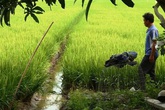 Chủ tịch xã bị điện giật tử vong ở ao cá Chủ tịch xã bị điện giật tử vong ở ao cá