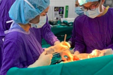 Tiết lộ bất ngờ về nguyên nhân ung thư gan, từ món ăn hàng triệu người Việt ưa thích Tiết lộ bất ngờ về nguyên nhân ung thư gan, từ món ăn hàng triệu người Việt ưa thích
