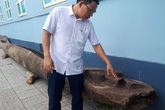 Hà Tĩnh: Phát hiện 2 chiếc thuyền độc mộc cổ dưới lòng sông Hà Tĩnh: Phát hiện 2 chiếc thuyền độc mộc cổ dưới lòng sông