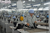 Quảng Ninh: Những kết quả khả quan trong công tác giải quyết việc làm Quảng Ninh: Những kết quả khả quan trong công tác giải quyết việc làm