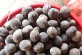 Quả rừng Sơn La hoang dại thơm ngọt giống phô mai tươi, bà nội trợ Hà thành liên tục đặt mua về làm sữa hạt, nấu canh Quả rừng Sơn La hoang dại thơm ngọt giống phô mai tươi, bà nội trợ Hà thành liên tục đặt mua về làm sữa hạt, nấu canh