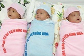 Nuôi sống các bé sinh ba 'siêu nhẹ' Nuôi sống các bé sinh ba 'siêu nhẹ'