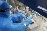 Người đàn ông Nghệ An tiếp xúc gần BN1818 có kết quả âm tính Người đàn ông Nghệ An tiếp xúc gần BN1818 có kết quả âm tính