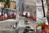 Á hậu Thanh Tú tất bật trang hoàng nhà cửa đón Tết Á hậu Thanh Tú tất bật trang hoàng nhà cửa đón Tết