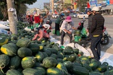 Dưa hấu ế chất đống vỉa hè Hà Nội, đầu năm tê tái giữa giá rét Dưa hấu ế chất đống vỉa hè Hà Nội, đầu năm tê tái giữa giá rét