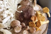 7 loại rau củ giàu protein không kém gì thịt, cá thậm chí còn nhiều hơn 7 loại rau củ giàu protein không kém gì thịt, cá thậm chí còn nhiều hơn