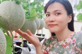 Gặp "siêu nhân" trồng dưa trên sân thượng, với kinh nghiệm trồng cây nào trĩu quả cây đó Gặp "siêu nhân" trồng dưa trên sân thượng, với kinh nghiệm trồng cây nào trĩu quả cây đó