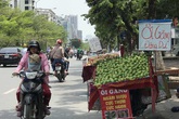Hoa quả siêu rẻ tràn vỉa hè: Người tiêu dùng cẩn thận tránh sập bẫy Hoa quả siêu rẻ tràn vỉa hè: Người tiêu dùng cẩn thận tránh sập bẫy