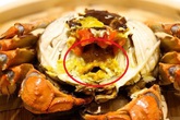 Ăn hải sản mấy chục năm ai nghĩ đơn giản PHẦN MÀU VÀNG trong con cua biển là GẠCH đều sai hết Ăn hải sản mấy chục năm ai nghĩ đơn giản PHẦN MÀU VÀNG trong con cua biển là GẠCH đều sai hết