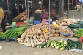 Mách chị em loại quả "rẻ bất ngờ" chỉ 5.000 đồng/kg đang bán ở chợ dân sinh, thực phẩm nổi tiếng trong việc làm đẹp da và giảm cân hiệu quả Mách chị em loại quả "rẻ bất ngờ" chỉ 5.000 đồng/kg đang bán ở chợ dân sinh, thực phẩm nổi tiếng trong việc làm đẹp da và giảm cân hiệu quả