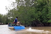 Phát hiện thi thể hai mẹ con dưới kênh nước ở Cà Mau Phát hiện thi thể hai mẹ con dưới kênh nước ở Cà Mau