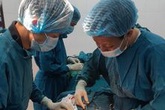 Quảng Trị: Vượt biển khơi phẫu thuật cho bệnh nhân viêm ruột thừa cấp Quảng Trị: Vượt biển khơi phẫu thuật cho bệnh nhân viêm ruột thừa cấp