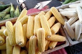 Vợ chồng trẻ Hà Nội vào Sài Gòn mở vựa buôn ngô, thu 30 triệu/tháng Vợ chồng trẻ Hà Nội vào Sài Gòn mở vựa buôn ngô, thu 30 triệu/tháng