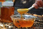 Uống mật ong nếu có 1 trong 6 dấu hiệu này cần dừng ngay kẻo hối hận Uống mật ong nếu có 1 trong 6 dấu hiệu này cần dừng ngay kẻo hối hận