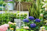 Khu vườn 20m² rộn ràng hoa và nắng trên sân thượng của cô gái 9x Khu vườn 20m² rộn ràng hoa và nắng trên sân thượng của cô gái 9x