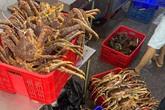 Hải sản Na Uy giá bạc triệu chỉ “giới nhà giàu” mới có thể mua đang giảm kịch sàn cận Tết, 49.000 đồng/kg ai cũng xuýt xoa Hải sản Na Uy giá bạc triệu chỉ “giới nhà giàu” mới có thể mua đang giảm kịch sàn cận Tết, 49.000 đồng/kg ai cũng xuýt xoa