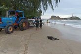 2 du khách bị cuốn trôi khi đi tắm biển ngày đầu năm 2 du khách bị cuốn trôi khi đi tắm biển ngày đầu năm