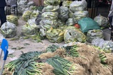 Hà Nội sẽ giám sát, truy xuất nguồn gốc nông sản từ Hải Dương Hà Nội sẽ giám sát, truy xuất nguồn gốc nông sản từ Hải Dương