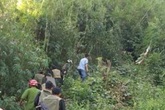 Truy bắt nghi phạm đâm 4 người trong đó có em bé 8 tháng tuổi rồi trốn vào rừng Truy bắt nghi phạm đâm 4 người trong đó có em bé 8 tháng tuổi rồi trốn vào rừng